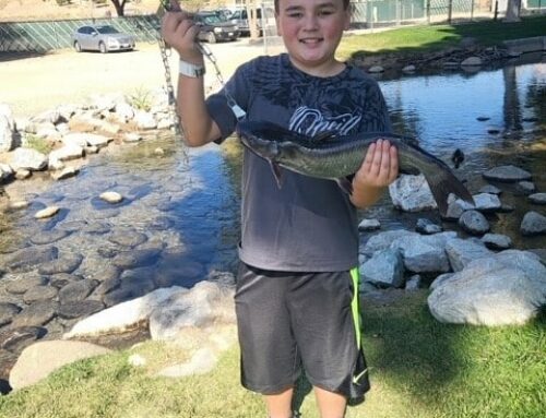 Fish Report 11/16/24