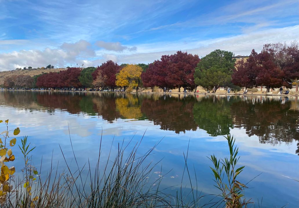 Jamie Hose – Fall Lake 2 Hesperia lake during fall