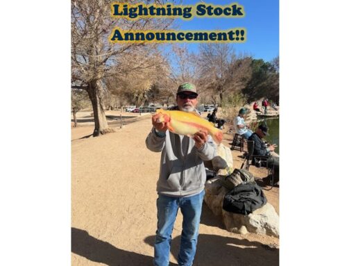 Lightning Trout Stock!!